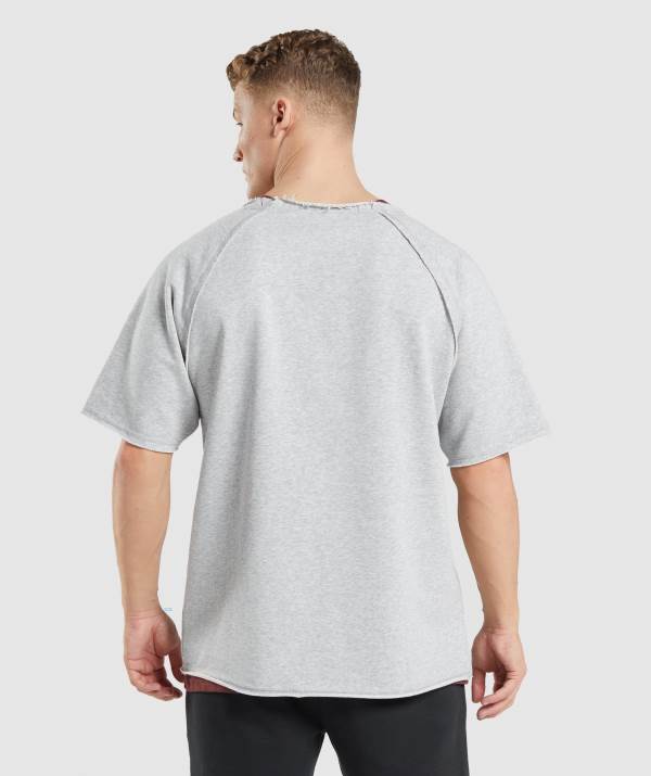 Panske Tricka Gymshark Legacy Rag Top Svetlo Siva | SJ1962074